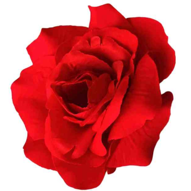 Róża główka welurowa Kwiat VELVET Dk.Red