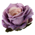 Róża satynowa główka Violet Beige