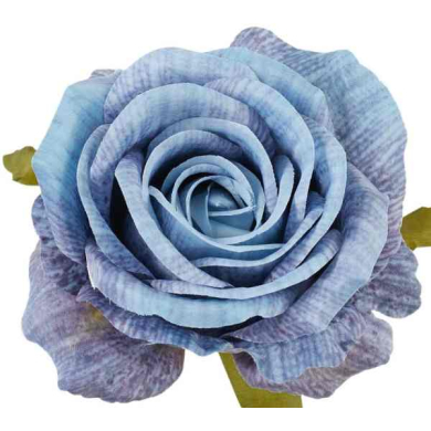 Róża satynowa główka Crush Blue