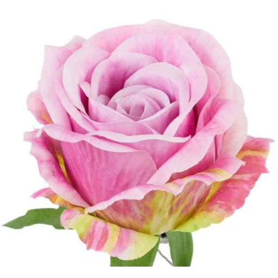 Róża satynowa główka Pink