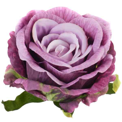 Róża satynowa główka Purple
