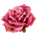 Róża satynowa główka rozwinięta Dk.Pink