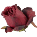Róża w pąku - Do Stroików Bukietów DIY Dk.Red