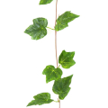 Girlanda Pnącze BLUSZCZ dk.green 230 cm