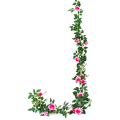 Girlanda RÓŻA Pnącze Kwiaty pink 180 cm