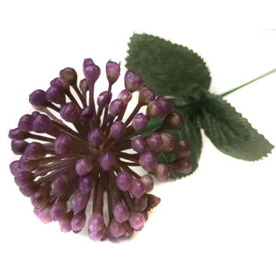 Czosnek gałązka kwitnąca Trawka Violet/Lilac