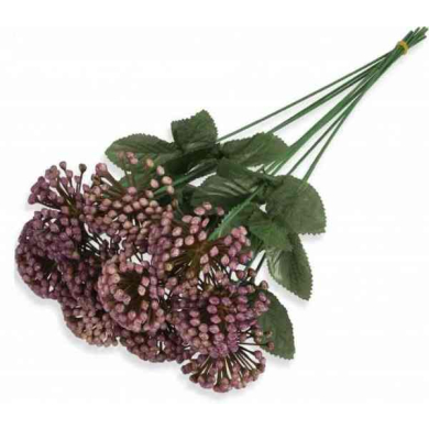 Czosnek gałązka kwitnąca Trawka Violet/Lilac