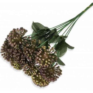 Czosnek gałązka kwitnąca Trawka Violet/Green