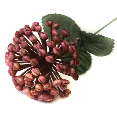 Czosnek gałązka kwitnąca Trawka Dk.Mauve/Pink