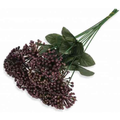 Czosnek gałązka kwitnąca Trawka Violet