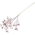 GIPSÓWKA gęsta gałązka ozdobna 60 cm BURGUND GIPSÓWKA gęsta gałązka ozdobna 60 cm BURGUND