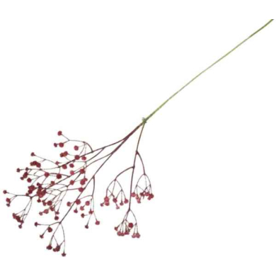 GIPSÓWKA gęsta gałązka ozdobna 60 cm BURGUND GIPSÓWKA gęsta gałązka ozdobna 60 cm BURGUND