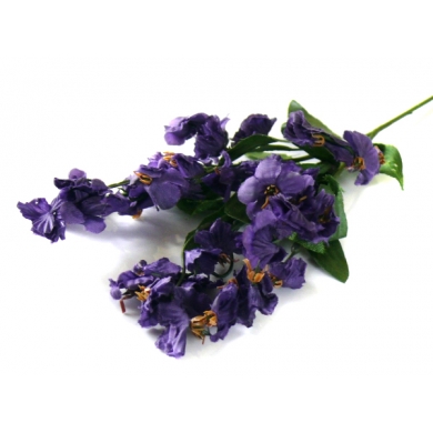 Gipsówka gałązka kwiaty Dk.Violet