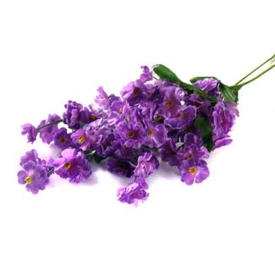 Gipsówka gałązka kwiaty Violet