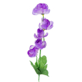 Kamelia gałązka KWIATY Lilac