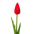 Tulipan w pąku gałązka 50 cm Red