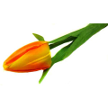 Tulipan w pąku gałązka 50 cm Yellow/Orange