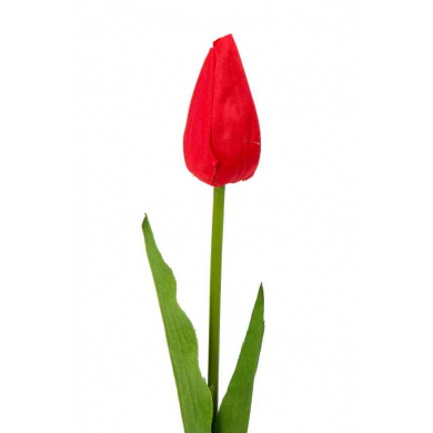 Tulipan w pąku gałązka 50 cm Red