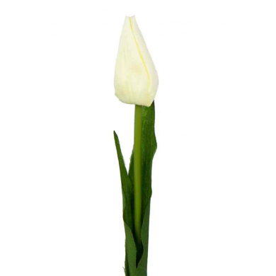 Tulipan w pąku gałązka 50 cm Cream
