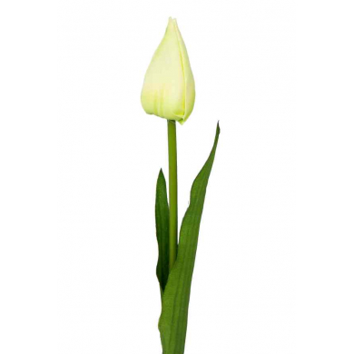 Tulipan w pąku gałązka 50 cm Cream/Green