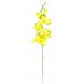 MIECZYK gałązka wys.53 cm Yellow/Green edge