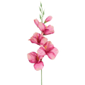 MIECZYK gałązka wys.53 cm Purple/Pink