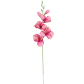 MIECZYK gałązka wys.53 cm Purple/Pink