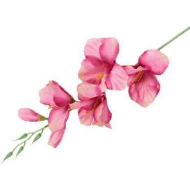 MIECZYK gałązka wys.53 cm Purple/Pink