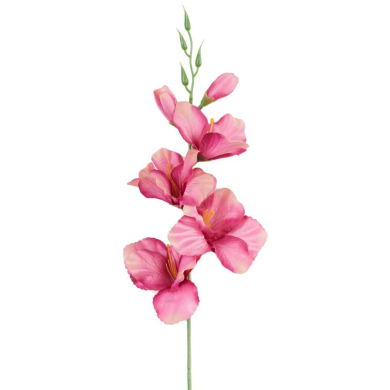 MIECZYK gałązka wys.53 cm Purple/Pink