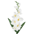 MIECZYK gałązka wys.65 cm Kwiaty white