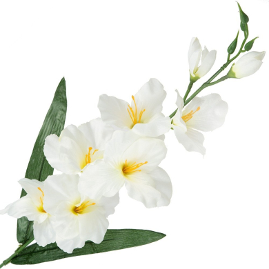 MIECZYK gałązka wys.65 cm Kwiaty cream