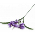 PRZEBIŚNIEG gałązka kwiatowa Violet