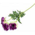 MAK ANEMON gałązka 3 kwiaty violet
