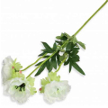 MAK ANEMON gałązka 3 kwiaty white
