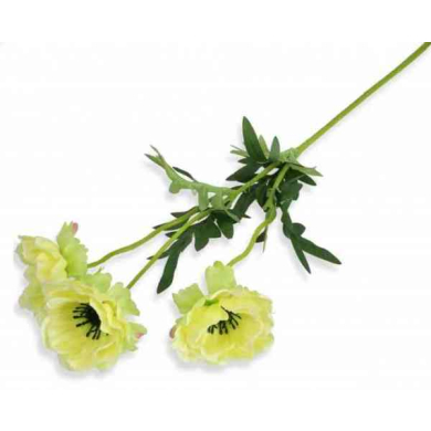 MAK ANEMON gałązka 3 kwiaty green