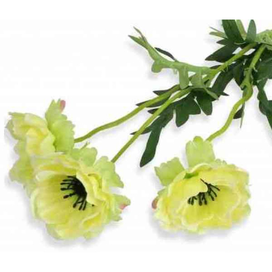 MAK ANEMON gałązka 3 kwiaty green