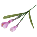 Krokus gałązka potrójna Lilac/Amarant