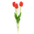 Tulipan silikonowy JAK ŻYWY gałązka guma 3 sztuki RED