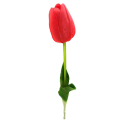 Tulipan silikonowy JAK ŻYWY gałązka guma RED