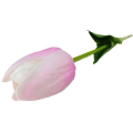 Tulipan silikonowy JAK ŻYWY gałązka guma PINK/CREAM