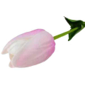 Tulipan silikonowy JAK ŻYWY gałązka guma PINK/CREAM