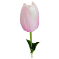 Tulipan silikonowy JAK ŻYWY gałązka guma PINK/CREAM