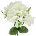 Hortensja gałązka kwiat Cream