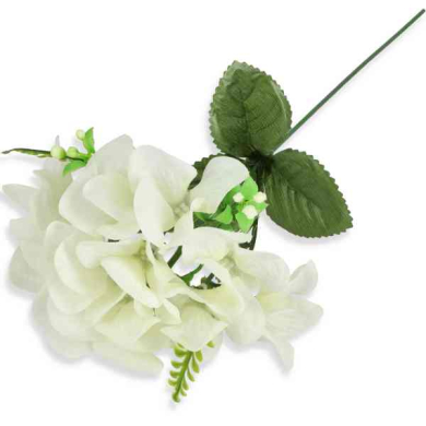 Hortensja gałązka kwiat Cream