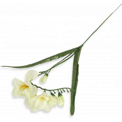 Frezja gałązka podwójna Cream