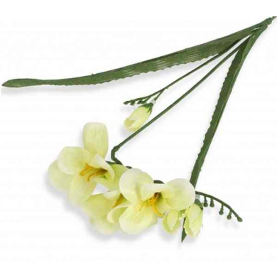 Frezja gałązka podwójna Cream/Green Frezja gałązka podwójna Cream/Green