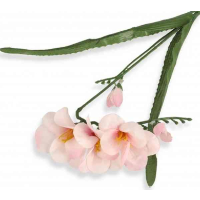 Frezja gałązka podwójna Pink