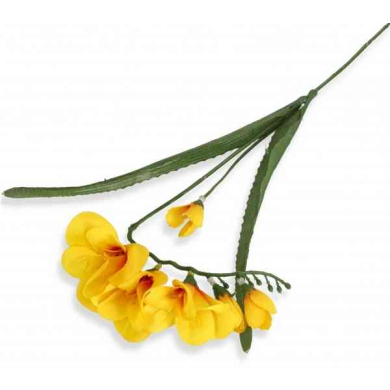 Frezja gałązka podwójna Yellow