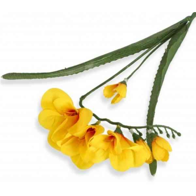 Frezja gałązka podwójna Yellow