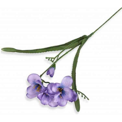 Frezja gałązka podwójna Violet